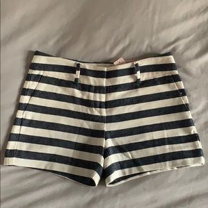 NWT Ann Taylor Signature Shorts